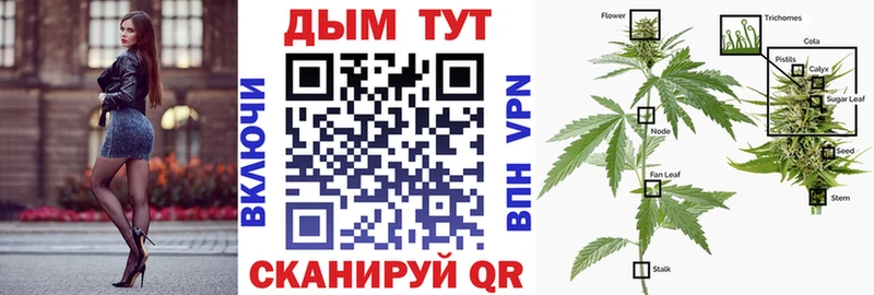 Каннабис THC 21%  продажа наркотиков  Кинель 